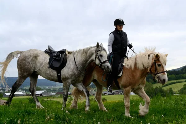 Femme cheval avec deux chevaux sur prairie — Photo