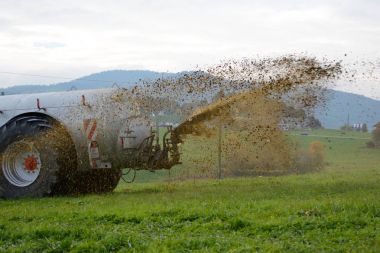 Manure is fertilized clipart