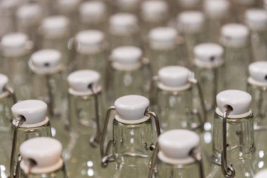 kapalı şişe - portre