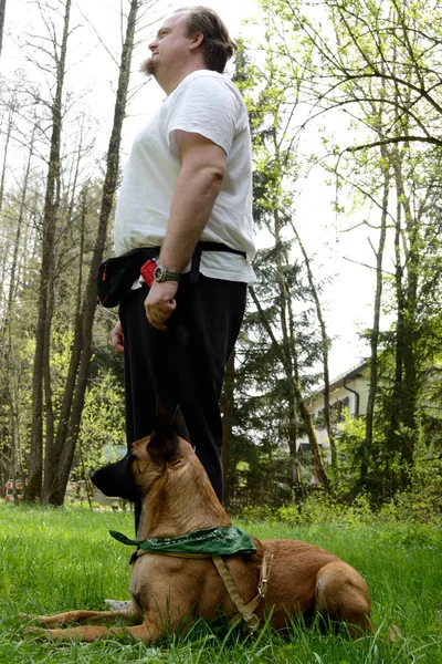 Anjing patuh dengan pelatih — Stok Foto