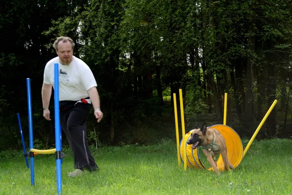 Allenatore di cani in agilità — Foto Stock