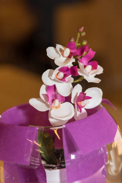 Pequena orquídea colorida — Fotografia de Stock