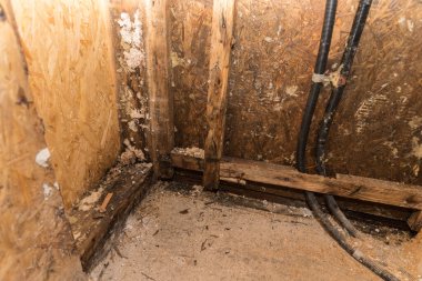 Water damage to fiberboard at construction site - close-up botched construction clipart