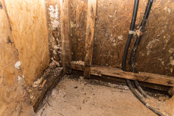 建筑工地纤维板的水害 闭塞的破烂不堪的建筑 — 图库照片
