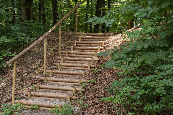 Stairway in a forest path - stairs with wooden steps