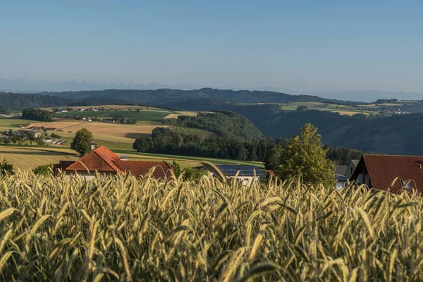Framtidsutsikter Det Kuperade Landskapet Donauregionen Österrike — Stockfoto
