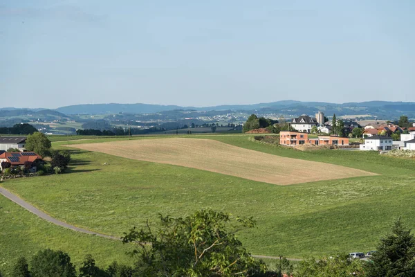 Idyll Landet Kuperat Landskap Danube Området Österrike — Stockfoto