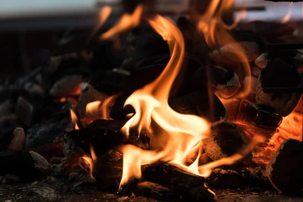 Ein Loderndes Grillfeuer Flamme Und Holzkohle — Stockfoto