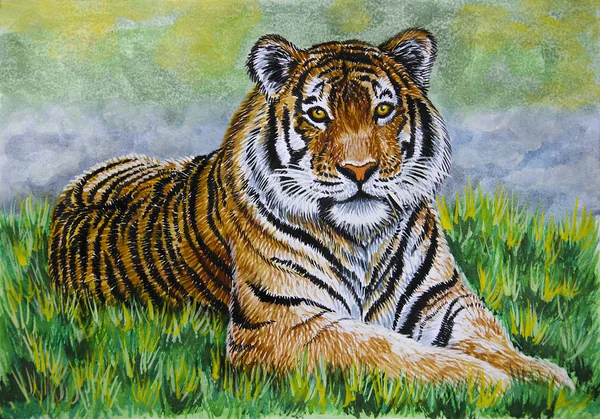 Tiger Liggande Gräset — Stockfoto
