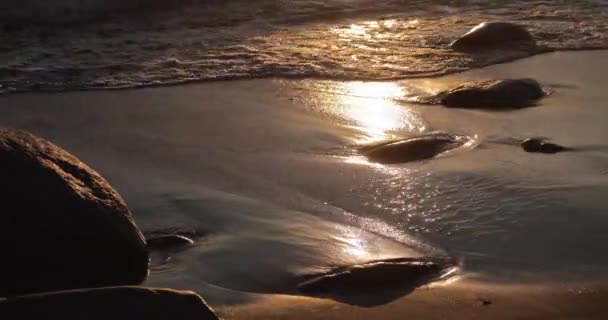 Den sandiga kusten med en flodvåg vid solnedgången, stenar, sand, vågor, ingen, landskap, lugnet, solen faller — Stockvideo