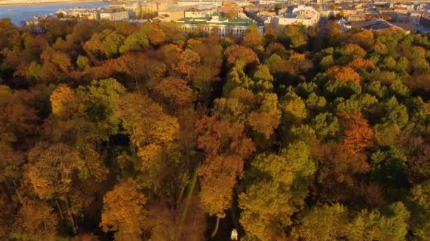 Rusia, San Petersburgo, 21 de octubre de 2017: Vista aérea del jardín de verano — Vídeos de Stock