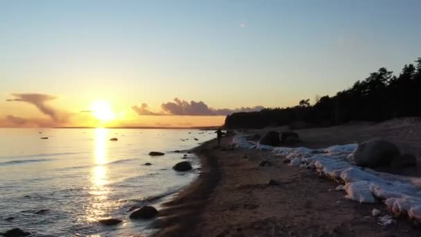 夕日、絵のように美しい夕日、静かな水、砂浜、木々の頂上は日没の太陽、ピンクの雲によって照らされています。 — ストック動画