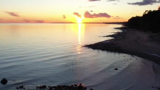 Drony przelatują nad wybrzeżem o zachodzie słońca, malowniczy zachód słońca, spokojna woda, piaszczysta plaża, szczyty drzew oświetlone są słońcem, różowe chmury — Wideo stockowe