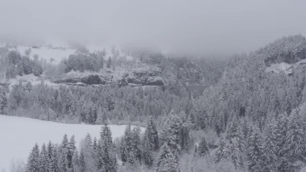 Vista aérea del viaducto de Landwasser con ferrocarril sin tren en invierno, hito de Suiza, nevando, dron vuela hacia adelante — Vídeos de Stock