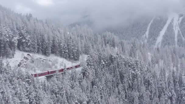 Luftvideo des berühmten Zuges von roter Farbe Glacier Express im Winter, Der Zug bewegt sich im Wald zwischen Bäumen, Wahrzeichen der Schweiz, Drohne bewegt sich nicht — Stockvideo