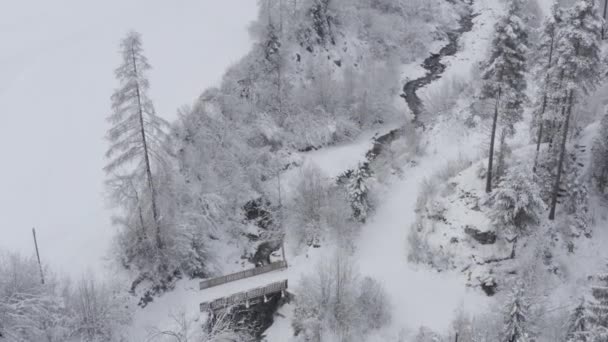 Vista aérea del viaducto de Landwasser con ferrocarril sin tren en invierno, hito de Suiza, nevando, dron vuela hacia adelante — Vídeos de Stock
