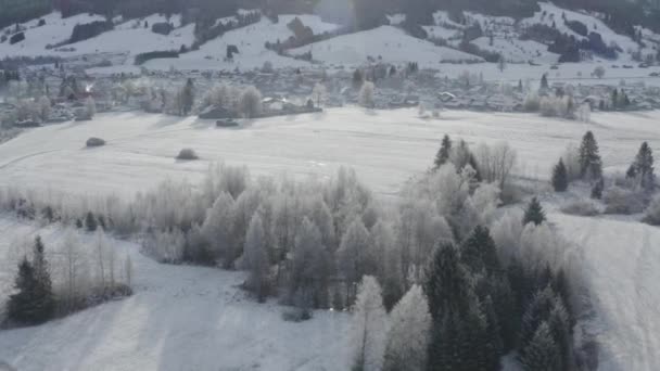 Вид с воздуха на небольшой уютный немецкий городок на горном дне на восходе солнца в зимний сезон, город Халблех, Германия, Бавария, ветви деревьев покрыты инеем, солнечная погода — стоковое видео