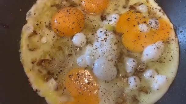 El vídeo de la cocción de los huevos fritos de algunos huevos con la cebolla y el pimiento negro, la clara líquida de huevo, la sartén de teflón, las burbujas, el vapor, la tortilla — Vídeos de Stock