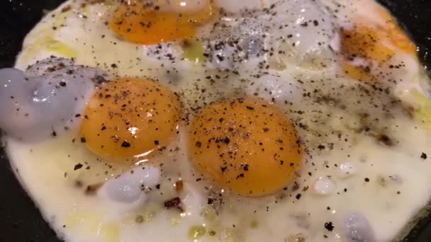 Video of cooking of fried eggs from several eggs with onions and black pepper, liquid egg white, a teflon frying pan, bubbles, steam, omelet — Stock Video