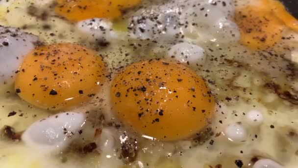 Video vom Kochen von Spiegeleiern aus mehreren Eiern mit Zwiebeln und schwarzem Pfeffer, flüssigem Eiweiß, einer Teflonpfanne, Blasen, Dampf, Omelett — Stockvideo