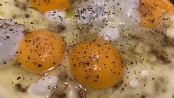 Video van het koken van gebakken eieren van verschillende eieren met uien en zwarte peper, vloeibaar eiwit, een theelepel koekenpan, bubbels, stoom, omelet — Stockvideo