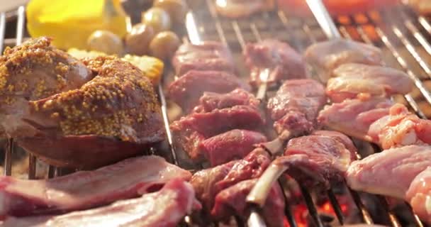 Egy rácson egy grill pácolt hús, bordák elterjedt, kolbászok, egy karó, szabad láng, vörös szén, a füst, tűzifa, kezét a szakács készítsen szenet, ultra hd minőségű, 4k videó — Stock videók