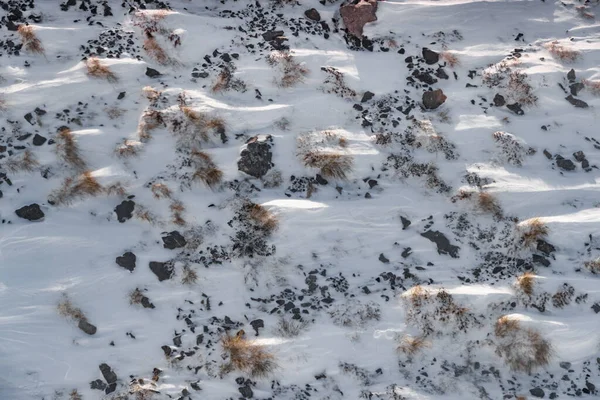 Erba secca sotto bianca neve chiara sui pendii al tramonto, erba spinosa sbirciare fuori da sotto la neve, montagne è sullo sfondo — Foto Stock