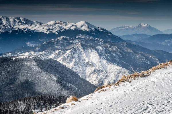 Slavná zasněžená hora Parnassos, Voiotia, Řecko, les pod mlhou, svahy se sněhem pokryté, oblačná atmosféra, krásné podmínky — Stock fotografie
