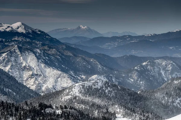 La célèbre montagne enneigée de Parnassos, Voiotia, Grèce, forêt sous le brouillard, pentes enneigées, atmosphère nuageuse, belles conditions — Photo