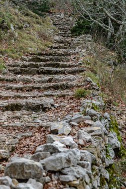 Sonbaharın doğal manzarası, karanlık ormandaki patika, Maria Magdalena mağarasına giden yol, dünya sarı yapraklarla kaplı, yolculuk konsepti olan patika, ağaç gövdeleri arasında yolculuk...