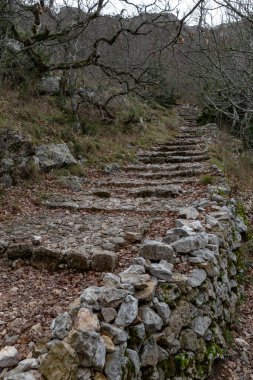 Sonbaharın doğal manzarası, karanlık ormandaki patika, Maria Magdalena mağarasına giden yol, dünya sarı yapraklarla kaplı, yolculuk konsepti olan patika, ağaç gövdeleri arasında yolculuk...