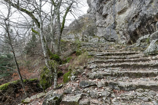 Paysage naturel de l'automne, Sentier pédestre en forêt sombre, Route vers la grotte Maria Magdalena, La terre est couverte de feuilles jaunes, Sentier avec concept de voyage, Road trip à travers des rangées de troncs d'arbres — Photo