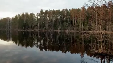 Sudaki muhteşem yansıma, günbatımındaki sahil, gün batımındaki resim gibi su, sudaki ayna, günbatımındaki güneş bulutları aydınlatır.