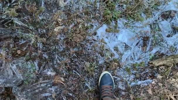这个人穿着运动鞋在冰冷的池塘里行走，打破冰块、牛仔裤、蓝色的裤子 — 图库视频影像