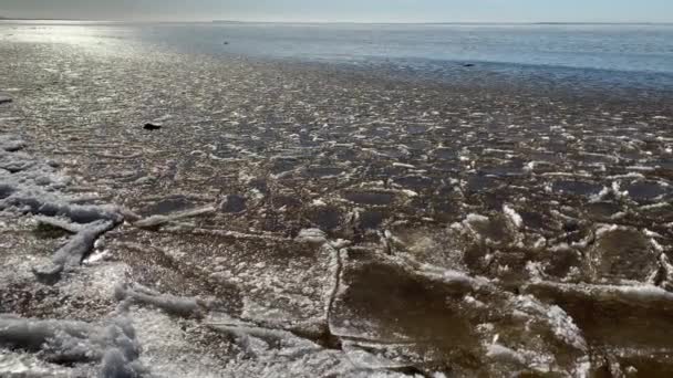 Morceaux de glace flottant sur les vagues, Plaques de glace, côte sablonneuse, pierres, paysage printanier, temps ensoleillé, pacification 