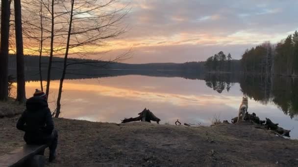Russland, St.Petersburg, 28. März 2020: Das Mädchen sitzt auf einer Bank am Ufer des Sees, ihr Hund läuft in der Nähe, Die Küste bei Sonnenuntergang, der malerische Sonnenuntergang, ruhiges Wasser, Spiegelung im Wasser — Stockvideo