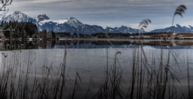 Gölde muhteşem bir yansıma, kuru bir çimen, bir baston ve ön planda pürüzler, arka planda dağlar ve orman, su üzerindeki buz, çimenler, stoklama, sükunet ile kaplıdır.