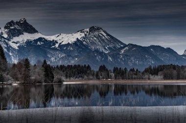 Gölde muhteşem bir yansıma, kuru bir çimen, bir baston ve ön planda pürüzler, arka planda dağlar ve orman, su üzerindeki buz, çimenler, stoklama, sükunet ile kaplıdır.