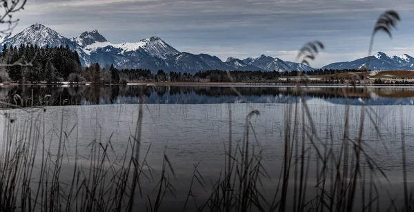 Gölde muhteşem bir yansıma, kuru bir çimen, bir baston ve ön planda pürüzler, arka planda dağlar ve orman, su üzerindeki buz, çimenler, stoklama, sükunet ile kaplıdır.