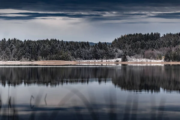 Пейзаж зеркального отражения в озере, сухая трава, трость и загвоздки на переднем плане, горы и лес на заднем плане, лед на воде, трава покрыта инеем, спокойствие — стоковое фото