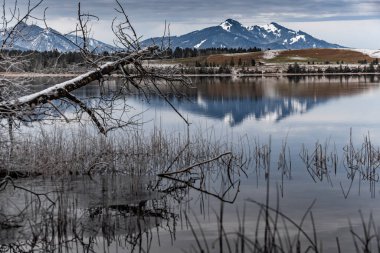 Gölde muhteşem bir yansıma, kuru bir çimen, bir baston ve ön planda pürüzler, arka planda dağlar ve orman, su üzerindeki buz, çimenler, stoklama, sükunet ile kaplıdır.