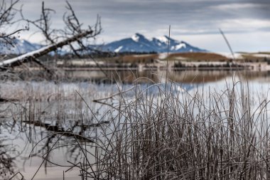 Gölde muhteşem bir yansıma, kuru bir çimen, bir baston ve ön planda pürüzler, arka planda dağlar ve orman, su üzerindeki buz, çimenler, stoklama, sükunet ile kaplıdır.