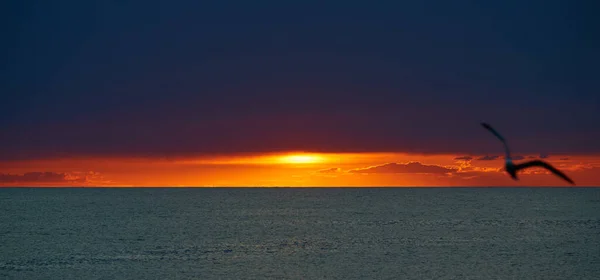 Dramatický západ slunce, oranžová obloha, klidné moře, sluneční cesta, racek — Stock fotografie