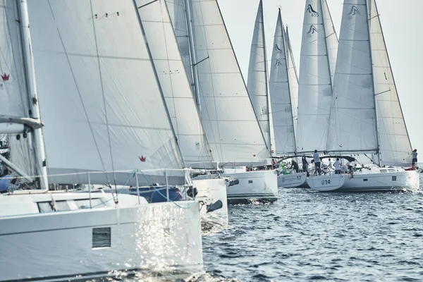 Segelboote konkurrieren bei Sonnenuntergang bei einer Segelregatta, Segelregatta, Reflexion der Segel auf dem Wasser, weiße Segel, Bootsnummer achtern Boote — Stockfoto