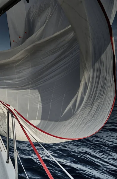 白い色のスピナー、風に帆がなびく、日没でレガッタセーリング、レース、水への反射 — ストック写真