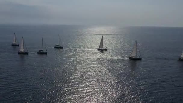 Los rangos de los yates de los participantes de la regata va al punto de partida, es una carrera de vela en Croacia, el reflejo de las velas en el agua, el número de barcos a popa — Vídeo de stock