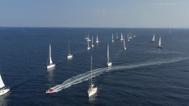Bir yat yarışının katılımcılarının sıralaması başlangıç noktasında, Hırvatistan 'da bir yelkencilik yarışı, sudaki yelkenlerin yansıması, kıç tekneleri — Stok video