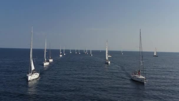 Classements des yachts des participants d'une régate va sur un point de départ, est une course à la voile en Croatie, réflexion des voiles sur l'eau, numéro de bateau bateaux arrière — Video