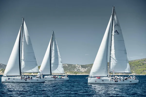 Croatia, Adriatic Sea, 18 September 2019: Sailboats compete in a sail regatta, sailboat race, reflection of sails on water, number of boat is on aft boats, island is on background, clear weather — Stock Photo, Image