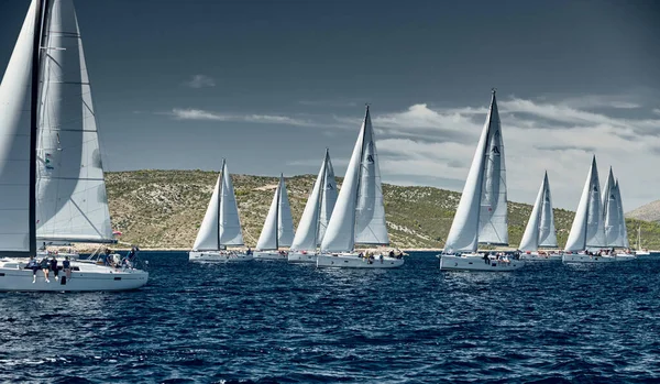 Kroatien, Adria, 18. September 2019: Segelboote messen sich bei einer Segelregatta, Segelbootrennen, Reflexion der Segel auf dem Wasser, Anzahl der Boote auf Achterbooten, Insel im Hintergrund, klares Wetter — Stockfoto